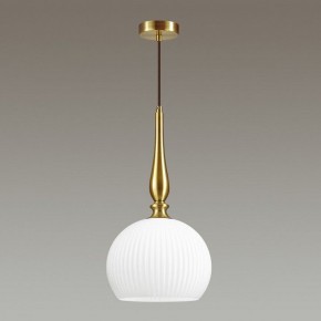 Подвесной светильник Odeon Light Runga 4766/1 в Заводоуковске - zavodoukovsk.mebel24.online | фото 4
