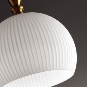 Подвесной светильник Odeon Light Runga 4766/1 в Заводоуковске - zavodoukovsk.mebel24.online | фото 8