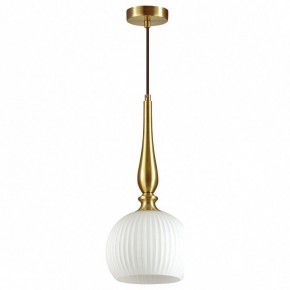 Подвесной светильник Odeon Light Runga 4767/1 в Заводоуковске - zavodoukovsk.mebel24.online | фото 2