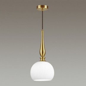 Подвесной светильник Odeon Light Runga 4767/1 в Заводоуковске - zavodoukovsk.mebel24.online | фото 4