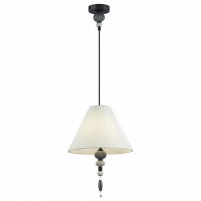 Подвесной светильник Odeon Light Sochi 4896/1 в Заводоуковске - zavodoukovsk.mebel24.online | фото 2