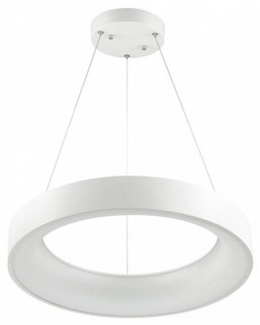 Подвесной светильник Odeon Light Sole 4066/50L в Заводоуковске - zavodoukovsk.mebel24.online | фото 2