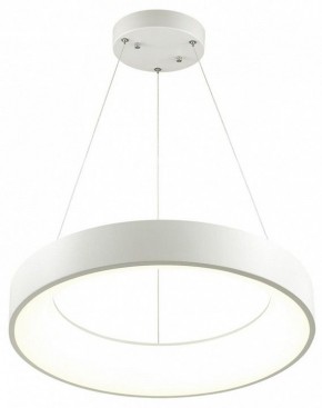 Подвесной светильник Odeon Light Sole 4066/50L в Заводоуковске - zavodoukovsk.mebel24.online | фото 3