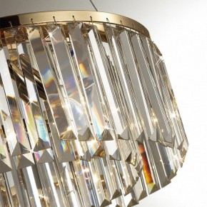 Подвесной светильник Odeon Light Vassa 4987/6 в Заводоуковске - zavodoukovsk.mebel24.online | фото 6