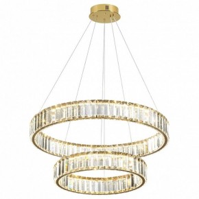 Подвесной светильник Odeon Light Vekia 5015/60L в Заводоуковске - zavodoukovsk.mebel24.online | фото 2