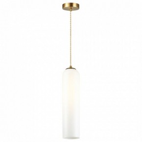 Подвесной светильник Odeon Light Vosti 4642/1 в Заводоуковске - zavodoukovsk.mebel24.online | фото 2
