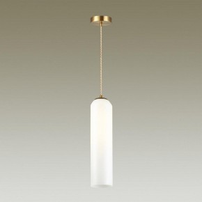 Подвесной светильник Odeon Light Vosti 4642/1 в Заводоуковске - zavodoukovsk.mebel24.online | фото 4