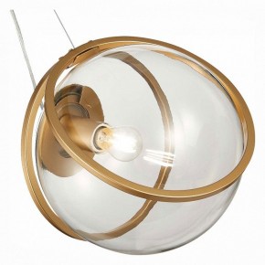 Подвесной светильник ST-Luce Acerra SL1181.313.01 в Заводоуковске - zavodoukovsk.mebel24.online | фото 2
