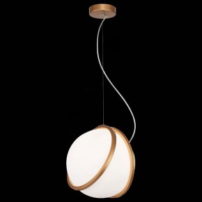 Подвесной светильник ST-Luce Acerra SL1181.353.01 в Заводоуковске - zavodoukovsk.mebel24.online | фото 4