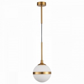Подвесной светильник ST-Luce Arbe SL1157.303.01 в Заводоуковске - zavodoukovsk.mebel24.online | фото 2