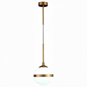 Подвесной светильник ST-Luce Arbe SL1157.303.01 в Заводоуковске - zavodoukovsk.mebel24.online | фото 3