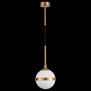 Подвесной светильник ST-Luce Arbe SL1157.303.01 в Заводоуковске - zavodoukovsk.mebel24.online | фото 4