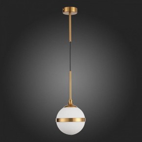 Подвесной светильник ST-Luce Arbe SL1157.303.01 в Заводоуковске - zavodoukovsk.mebel24.online | фото 5