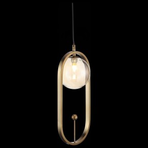 Подвесной светильник ST-Luce Circono SL1201.203.01 в Заводоуковске - zavodoukovsk.mebel24.online | фото 4