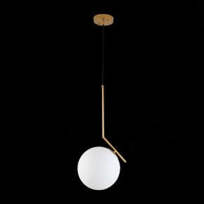 Подвесной светильник ST-Luce Codda SL1148.303.01 в Заводоуковске - zavodoukovsk.mebel24.online | фото 6