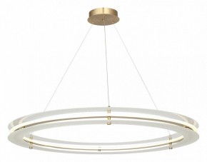 Подвесной светильник ST-Luce FAGY SL6245.213.01 в Заводоуковске - zavodoukovsk.mebel24.online | фото 4