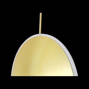 Подвесной светильник ST-Luce Imente SL1221.213.01 в Заводоуковске - zavodoukovsk.mebel24.online | фото 9