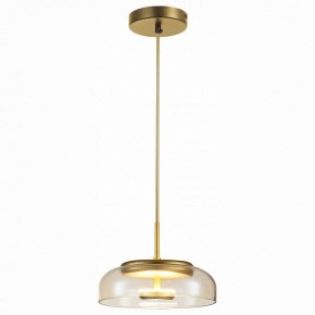 Подвесной светильник ST-Luce Lacio SL6002.203.01 в Заводоуковске - zavodoukovsk.mebel24.online | фото