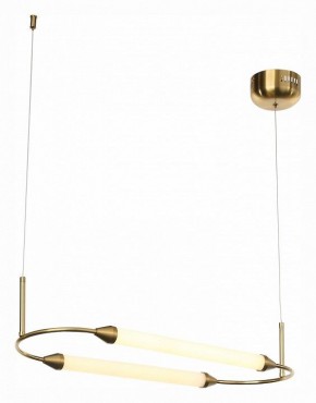 Подвесной светильник ST-Luce Olbia SL6004.313.02 в Заводоуковске - zavodoukovsk.mebel24.online | фото 4