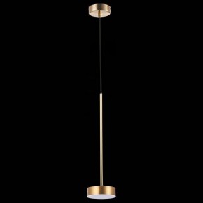Подвесной светильник ST-Luce Pances SL6000.303.01 в Заводоуковске - zavodoukovsk.mebel24.online | фото 5