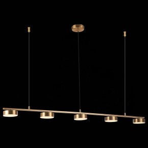 Подвесной светильник ST-Luce Pances SL6000.303.05 в Заводоуковске - zavodoukovsk.mebel24.online | фото 5
