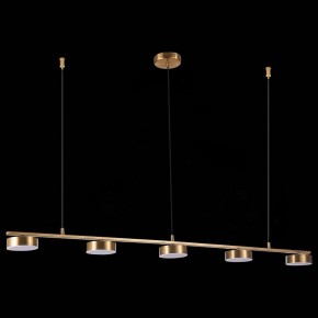 Подвесной светильник ST-Luce Pances SL6000.303.05 в Заводоуковске - zavodoukovsk.mebel24.online | фото 6