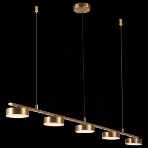 Подвесной светильник ST-Luce Pances SL6000.303.05 в Заводоуковске - zavodoukovsk.mebel24.online | фото 7