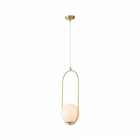 Подвесной светильник ST-Luce Penolo SL1118.203.01 в Заводоуковске - zavodoukovsk.mebel24.online | фото 3