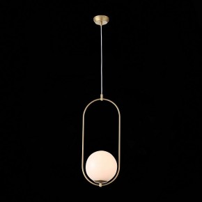 Подвесной светильник ST-Luce Penolo SL1118.203.01 в Заводоуковске - zavodoukovsk.mebel24.online | фото 6