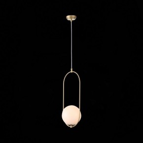 Подвесной светильник ST-Luce Penolo SL1118.203.01 в Заводоуковске - zavodoukovsk.mebel24.online | фото 7