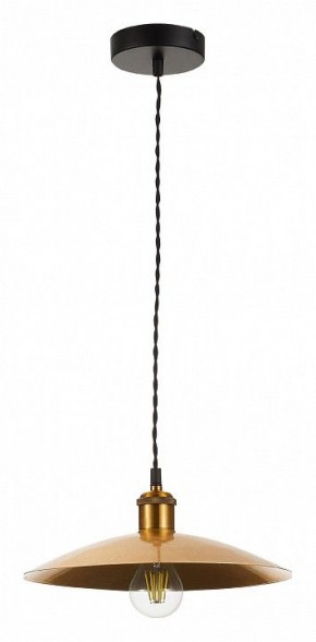 Подвесной светильник ST-Luce Romo SL1017.203.01 в Заводоуковске - zavodoukovsk.mebel24.online | фото 2