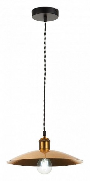 Подвесной светильник ST-Luce Romo SL1017.203.01 в Заводоуковске - zavodoukovsk.mebel24.online | фото 4