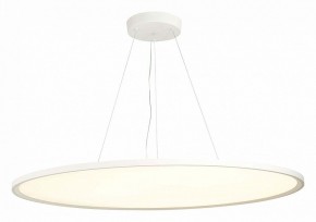 Подвесной светильник ST-Luce ST602 ST602.543.120 в Заводоуковске - zavodoukovsk.mebel24.online | фото 3