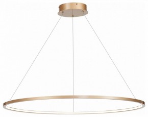 Подвесной светильник ST-Luce ST603 IN ST603.243.46 в Заводоуковске - zavodoukovsk.mebel24.online | фото 2