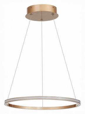 Подвесной светильник ST-Luce ST604 OUT ST604.243.22 в Заводоуковске - zavodoukovsk.mebel24.online | фото 2