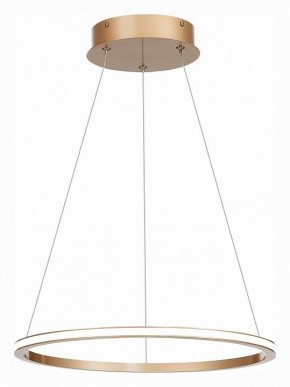 Подвесной светильник ST-Luce ST604 OUT ST604.243.22 в Заводоуковске - zavodoukovsk.mebel24.online | фото 3