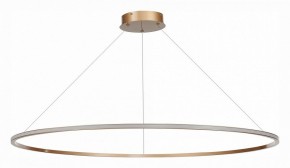 Подвесной светильник ST-Luce ST604 OUT ST604.243.57 в Заводоуковске - zavodoukovsk.mebel24.online | фото 2