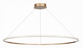 Подвесной светильник ST-Luce ST604 OUT ST604.243.57 в Заводоуковске - zavodoukovsk.mebel24.online | фото 3