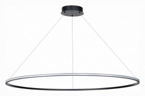 Подвесной светильник ST-Luce ST604 OUT ST604.443.46 в Заводоуковске - zavodoukovsk.mebel24.online | фото 2