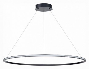 Подвесной светильник ST-Luce ST604 OUT ST604.443.57 в Заводоуковске - zavodoukovsk.mebel24.online | фото 2