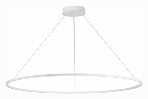 Подвесной светильник ST-Luce ST604 OUT ST604.543.46 в Заводоуковске - zavodoukovsk.mebel24.online | фото 2