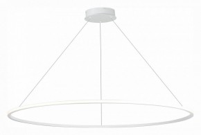 Подвесной светильник ST-Luce ST604 OUT ST604.543.46 в Заводоуковске - zavodoukovsk.mebel24.online | фото 3