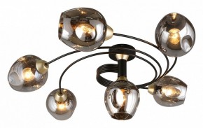 Потолочная люстра Aployt Flor APL.611.17.06 в Заводоуковске - zavodoukovsk.mebel24.online | фото 13