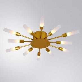 Потолочная люстра Arte Lamp Maple A1276PL-12GO в Заводоуковске - zavodoukovsk.mebel24.online | фото 1