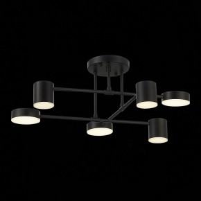 Потолочная люстра EVOLUCE Nobel SLE201042-06 в Заводоуковске - zavodoukovsk.mebel24.online | фото 13