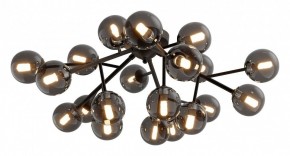 Потолочная люстра Maytoni Dallas MOD545CL-20B в Заводоуковске - zavodoukovsk.mebel24.online | фото 2