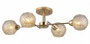 Потолочная люстра Rivoli Amalia Б0050815 в Заводоуковске - zavodoukovsk.mebel24.online | фото 3