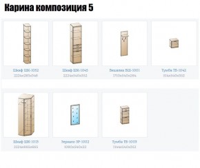 Прихожая Карина (модульная) в Заводоуковске - zavodoukovsk.mebel24.online | фото 2