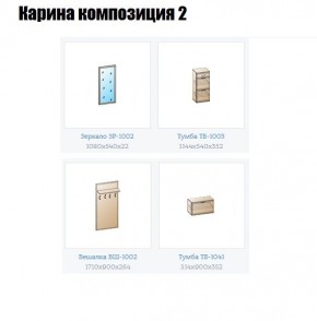 Прихожая Карина (модульная) в Заводоуковске - zavodoukovsk.mebel24.online | фото 6