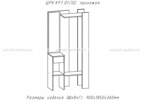 КРИТ-1 Прихожая (Делано светлый) в Заводоуковске - zavodoukovsk.mebel24.online | фото 2